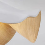 Flush Mount Ceiling Light with Resin and Iron