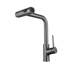 Kitchen Faucet with Pull-Out Hose