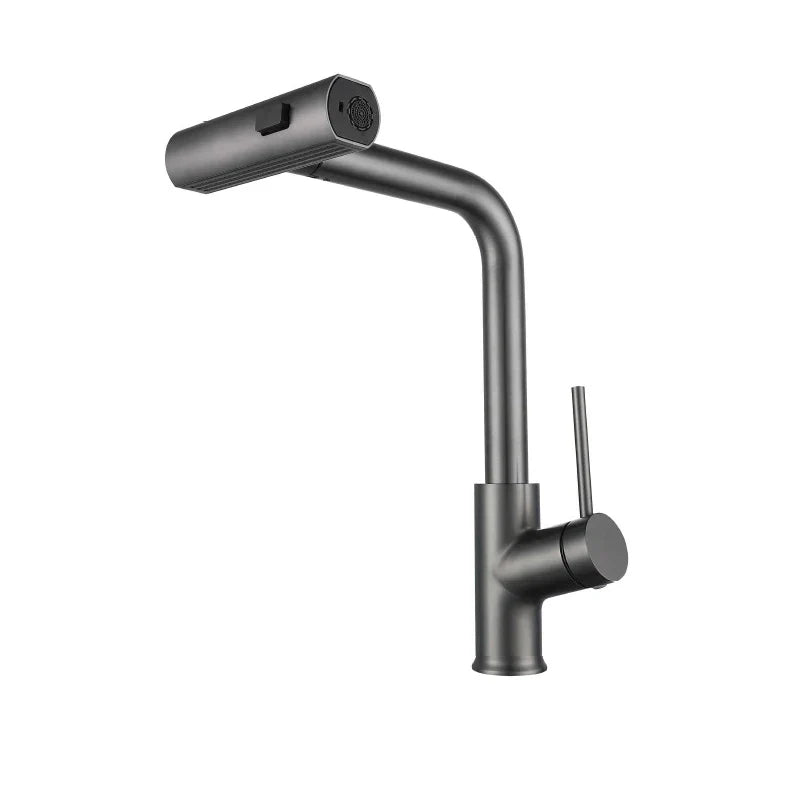 Kitchen Faucet with Pull-Out Hose