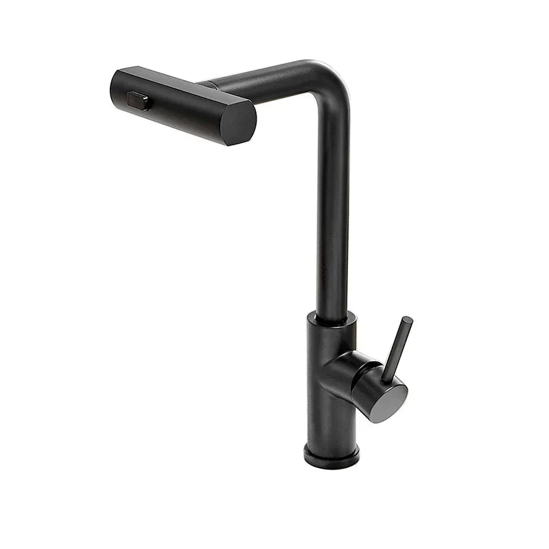 Kitchen Faucet with Pull-Out Hose