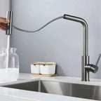 Kitchen Faucet with Pull-Out Hose