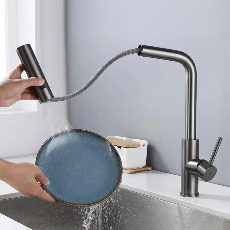 Kitchen Faucet with Pull-Out Hose