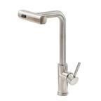 Kitchen Faucet with Pull-Out Hose