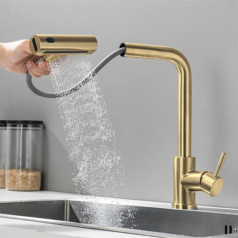 Kitchen Faucet with Pull-Out Hose