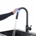 Touch Activated Kitchen Faucet