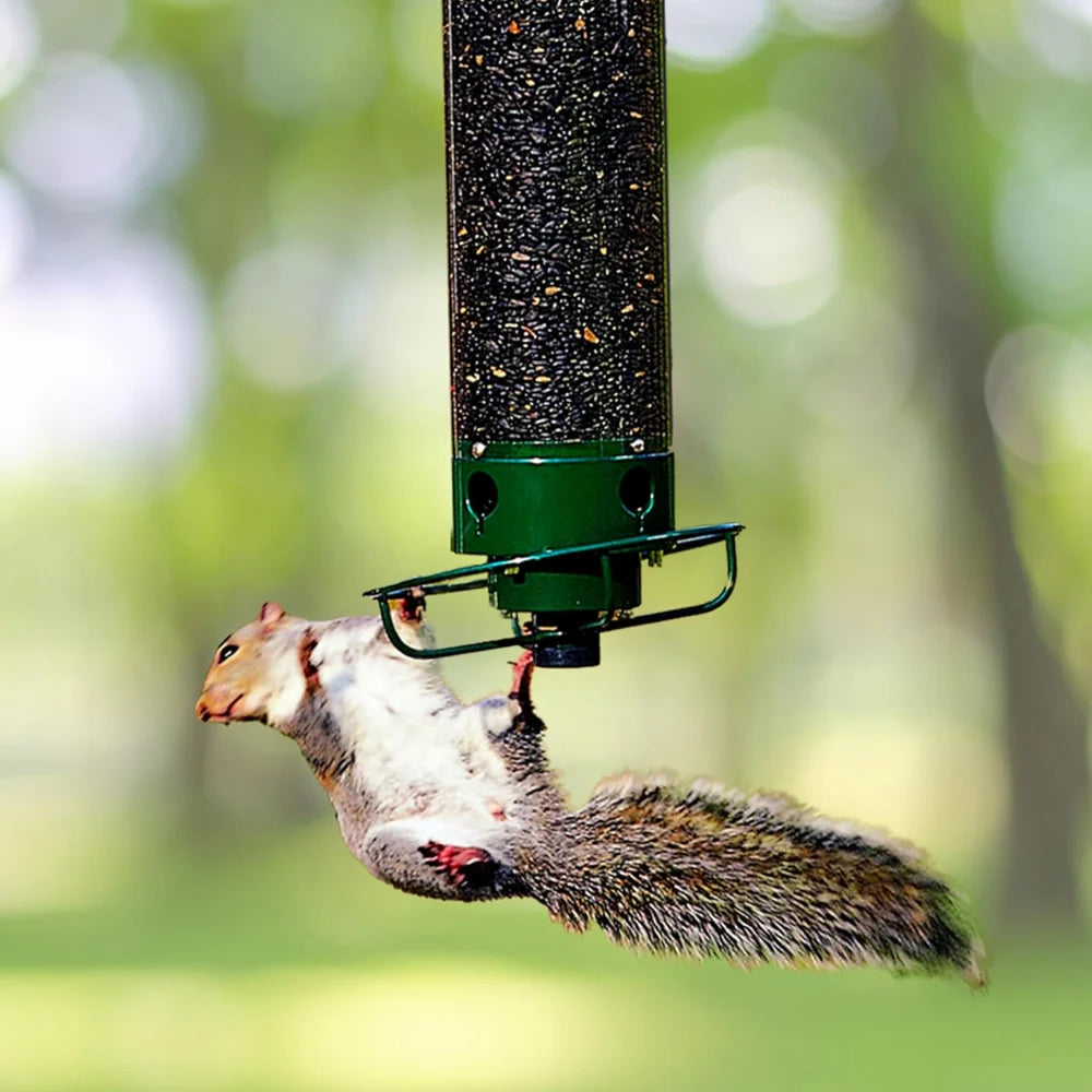 Bird Feeder | Squirrel-Proof Rotating Perch & 4 Feeding Ports