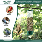 Bird Feeder | Squirrel-Proof Rotating Perch & 4 Feeding Ports