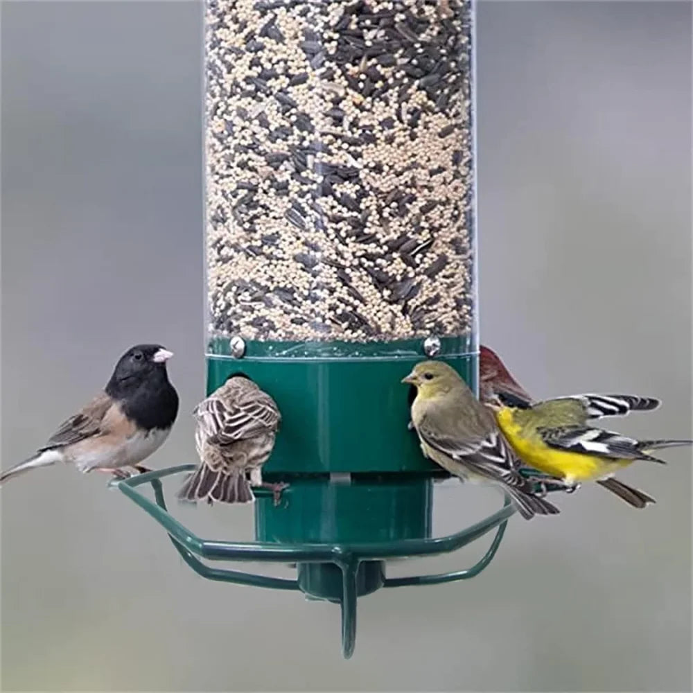 Bird Feeder | Squirrel-Proof Rotating Perch & 4 Feeding Ports