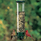 Bird Feeder | Squirrel-Proof Weight-Activated Perch | 5 lb Capacity
