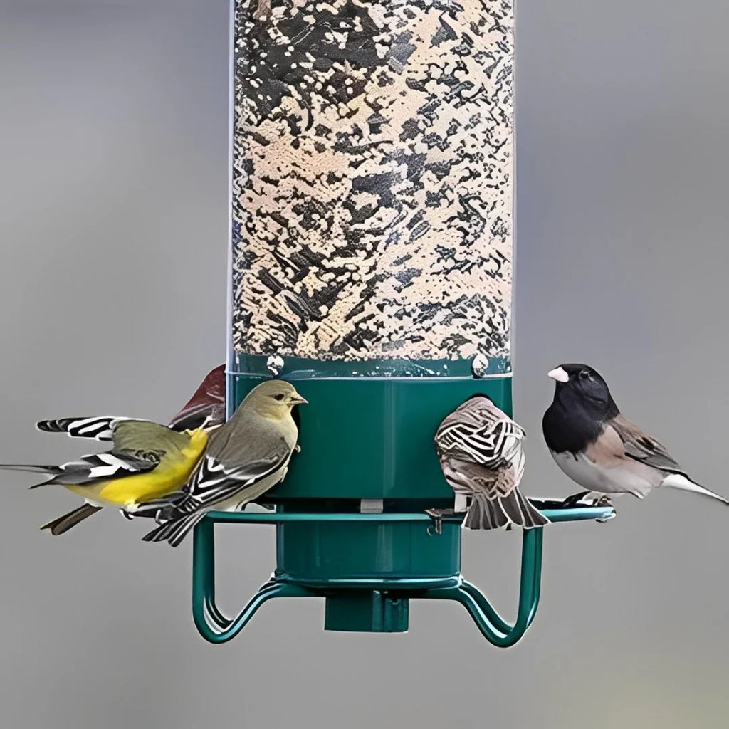 Bird Feeder | Squirrel-Proof Weight-Activated Perch | 5 lb Capacity
