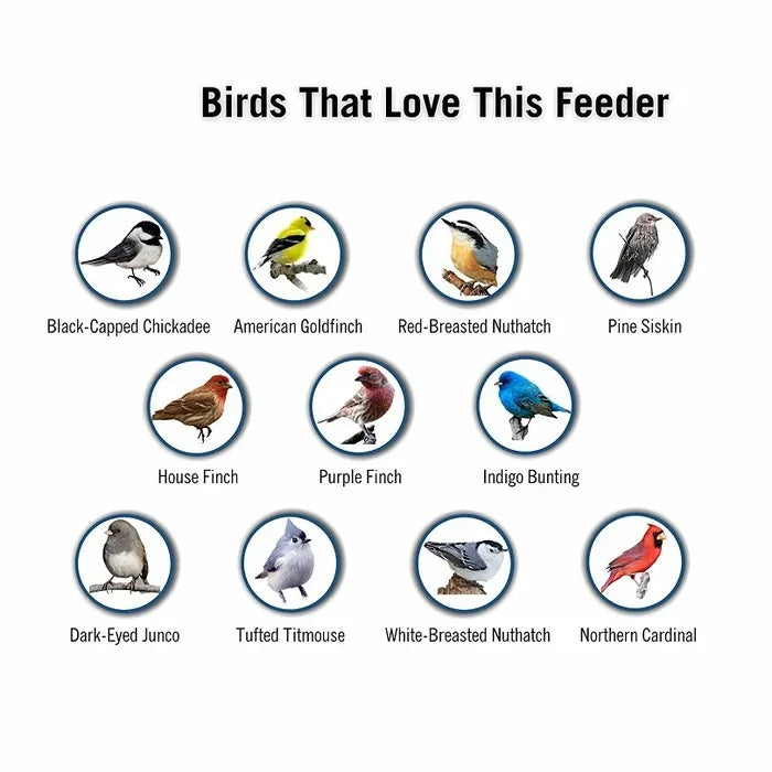 Bird Feeder | Squirrel-Proof Weight-Activated Perch | 5 lb Capacity