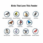 Bird Feeder | Squirrel-Proof Weight-Activated Perch | 5 lb Capacity