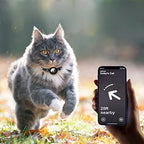 Cat Collar | Reflective Nylon GPS Holder & Quick-Release