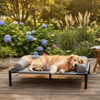 Dog Bed | Elevated & Breathable Mesh | Indoor & Outdoor Use