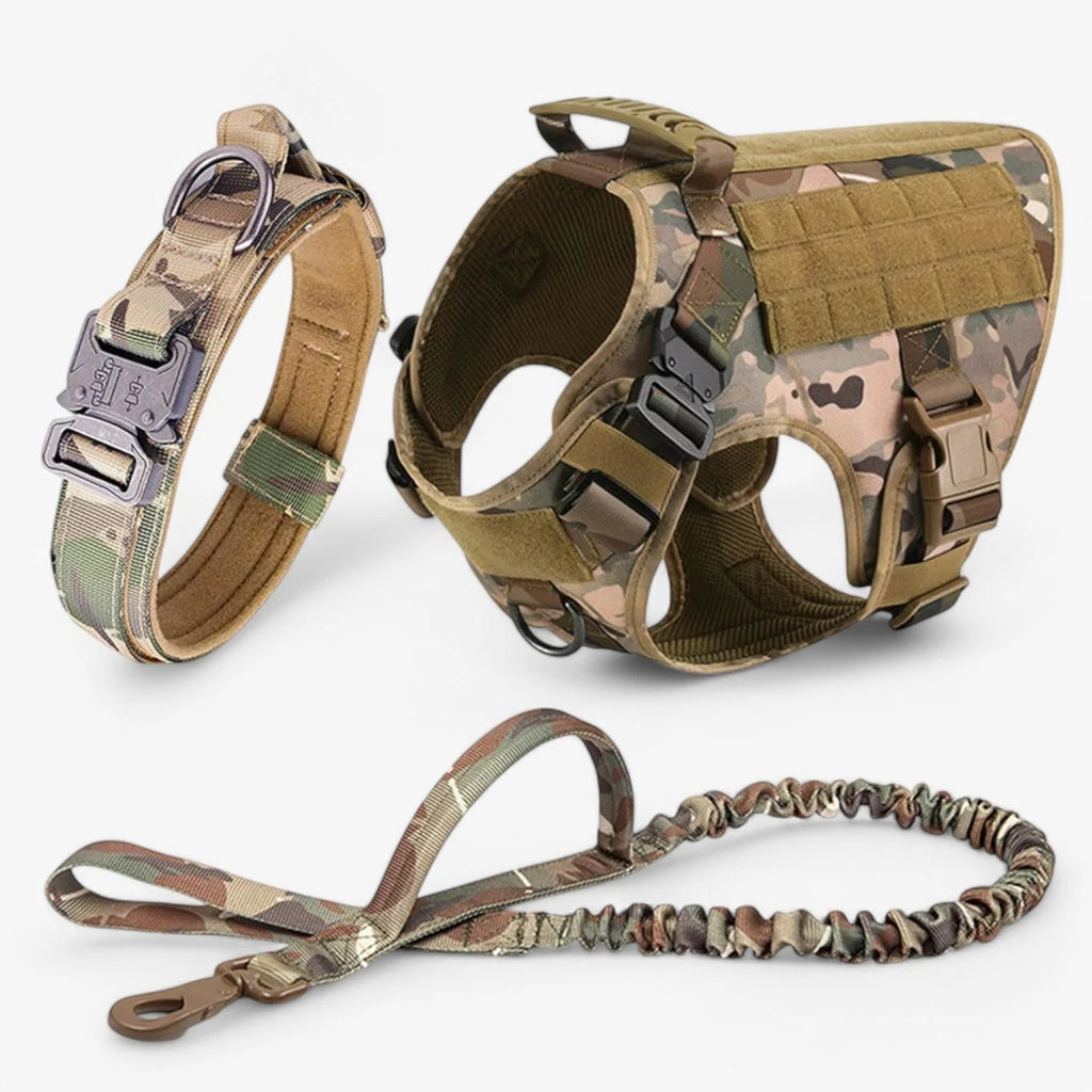 Dog Harness | Durable Nylon & Top Handle