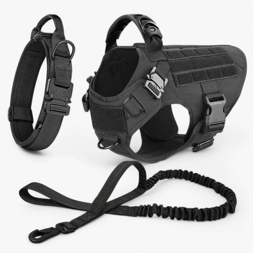 Dog Harness | Durable Nylon & Top Handle