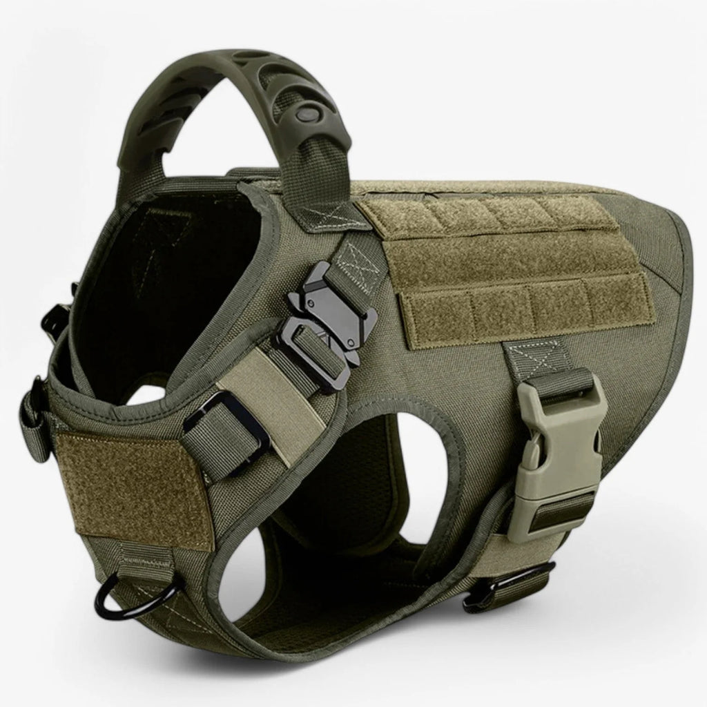 Dog Harness | Durable Nylon & Top Handle