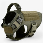 Dog Harness | Durable Nylon & Top Handle
