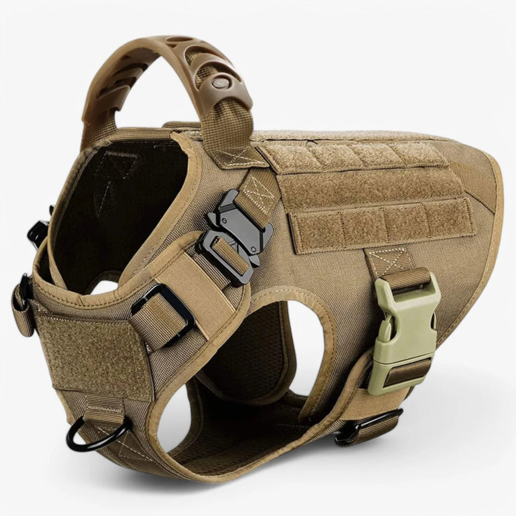 Dog Harness | Durable Nylon & Top Handle
