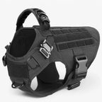 Dog Harness | Durable Nylon & Top Handle