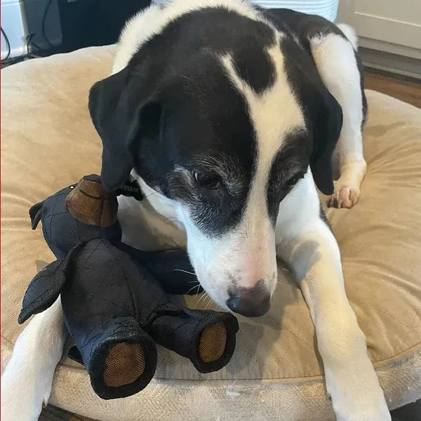 Dog Toy | Indestructible & Squeaky | Machine-Washable