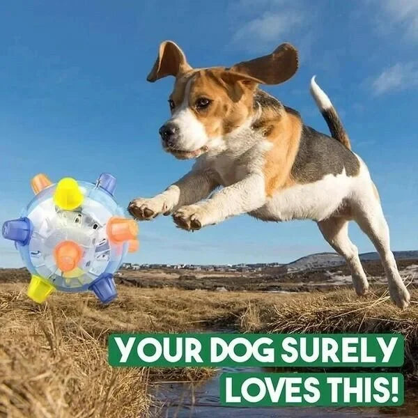 Dog Toy | Interactive Jumping LED & Sound | Food-Grade Rubber