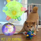 Dog Toy | Interactive Jumping LED & Sound | Food-Grade Rubber