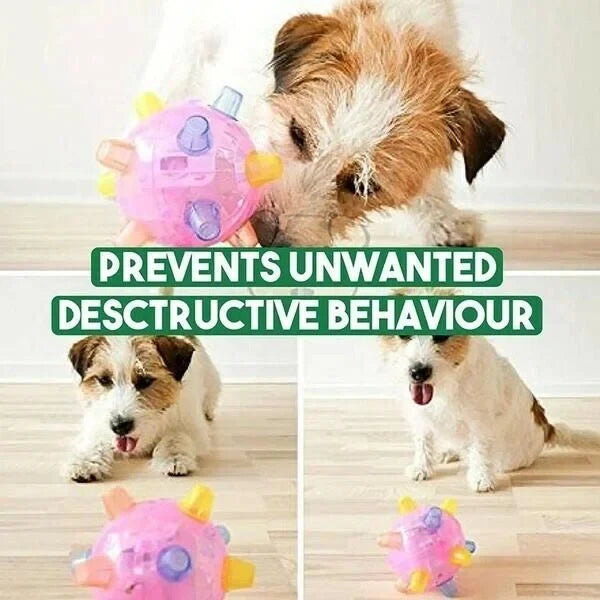 Dog Toy | Interactive Jumping LED & Sound | Food-Grade Rubber