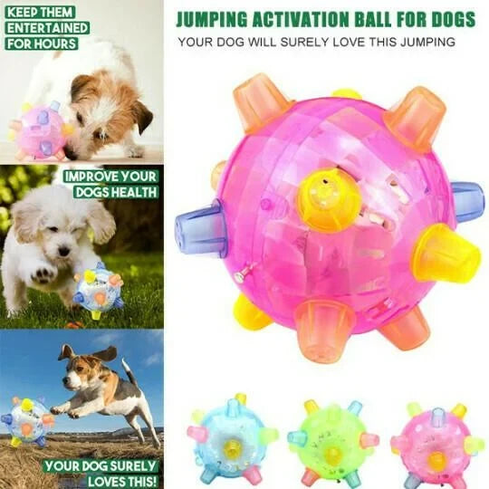 Dog Toy | Interactive Jumping LED & Sound | Food-Grade Rubber