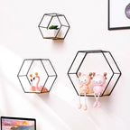 Hexagonal Wall Shelf | Modern Geometric & Easy To Mount