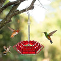 Hummingbird Feeder | Ant-Proof UV-Resistant Polycarbonate | 30 Feeding Ports