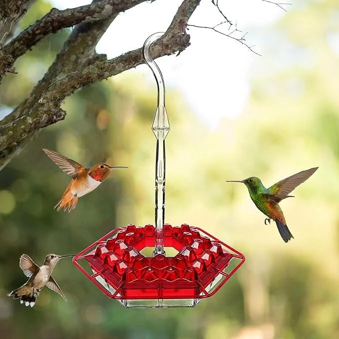 Hummingbird Feeder | Ant-Proof UV-Resistant Polycarbonate | 30 Feeding Ports