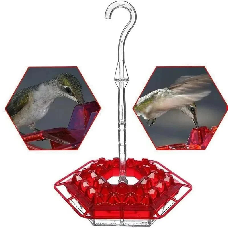 Hummingbird Feeder | Ant-Proof UV-Resistant Polycarbonate | 30 Feeding Ports