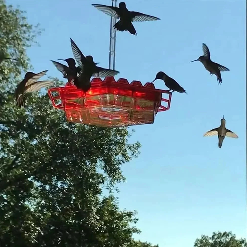 Hummingbird Feeder | Ant-Proof UV-Resistant Polycarbonate | 30 Feeding Ports