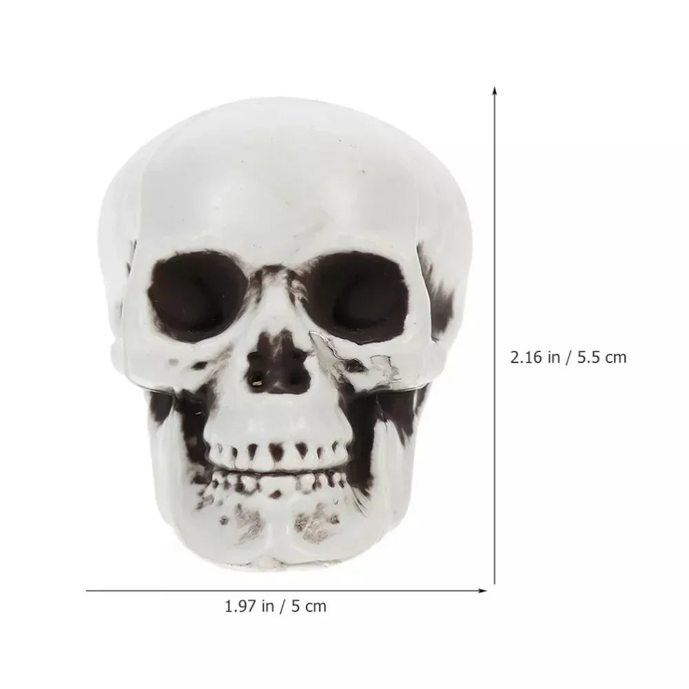 Mini Skull Decorations | White Finish & Compact Tabletop Size | Set of 10