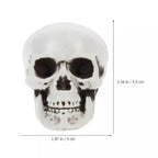 Mini Skull Decorations | White Finish & Compact Tabletop Size | Set of 10