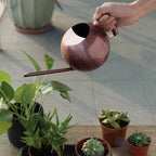 Watering Can | Minimalist & Ergonomic | Drip-Free Spout