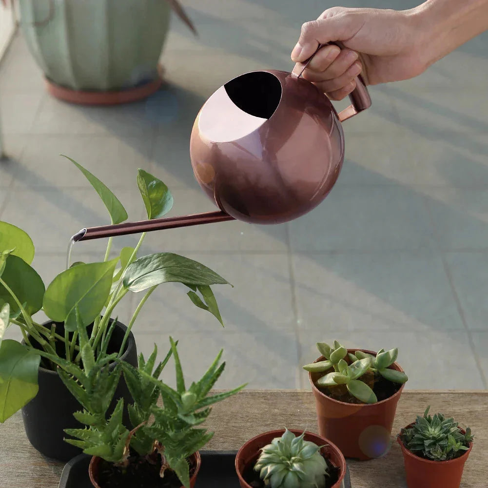 Watering Can | Minimalist & Ergonomic | Drip-Free Spout