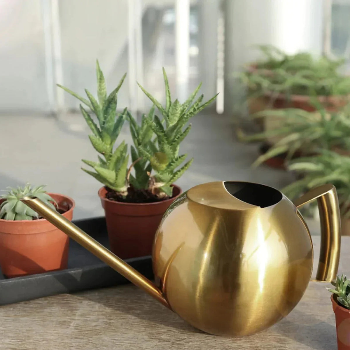 Watering Can | Minimalist & Ergonomic | Drip-Free Spout