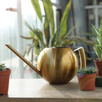 Watering Can | Minimalist & Ergonomic | Drip-Free Spout