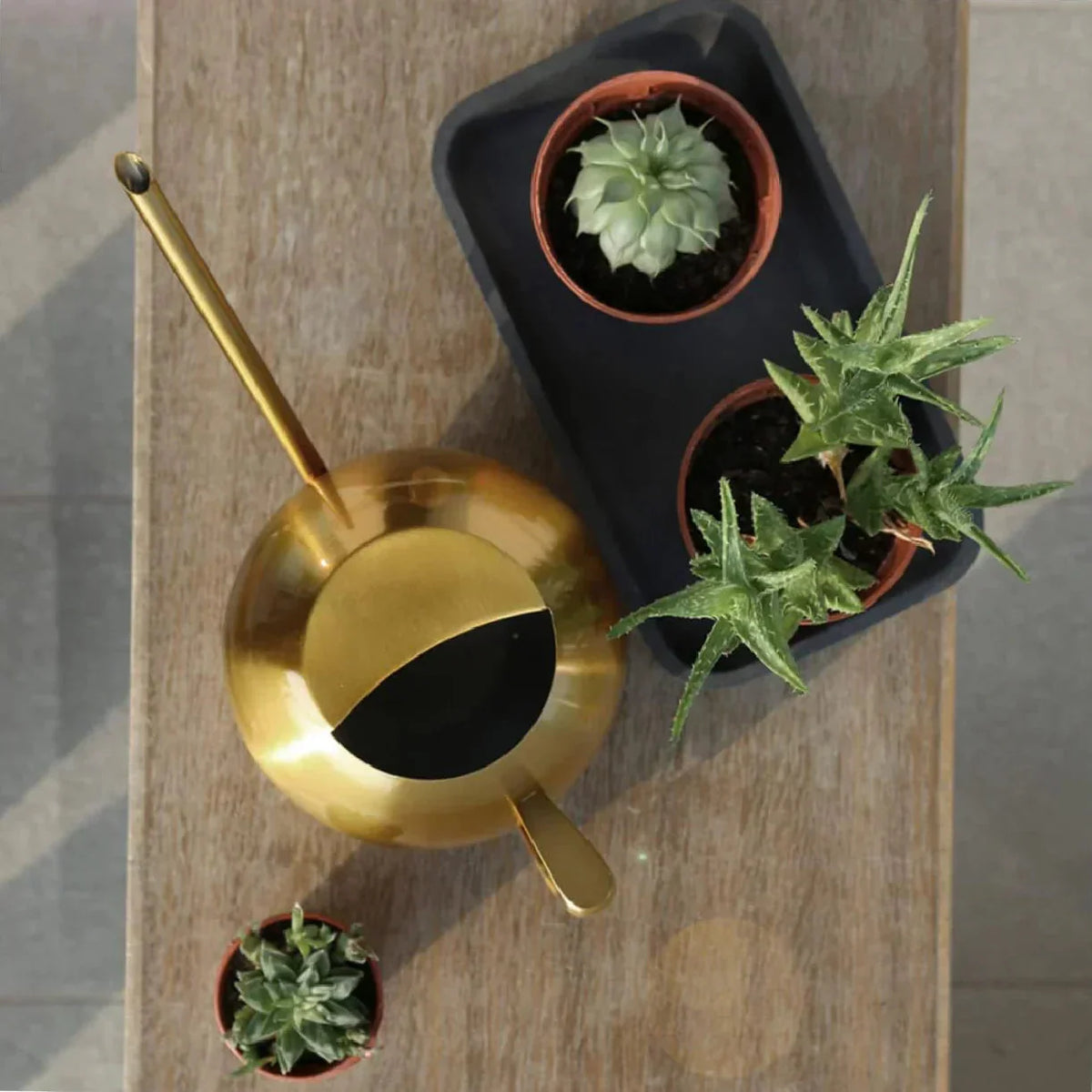 Watering Can | Minimalist & Ergonomic | Drip-Free Spout