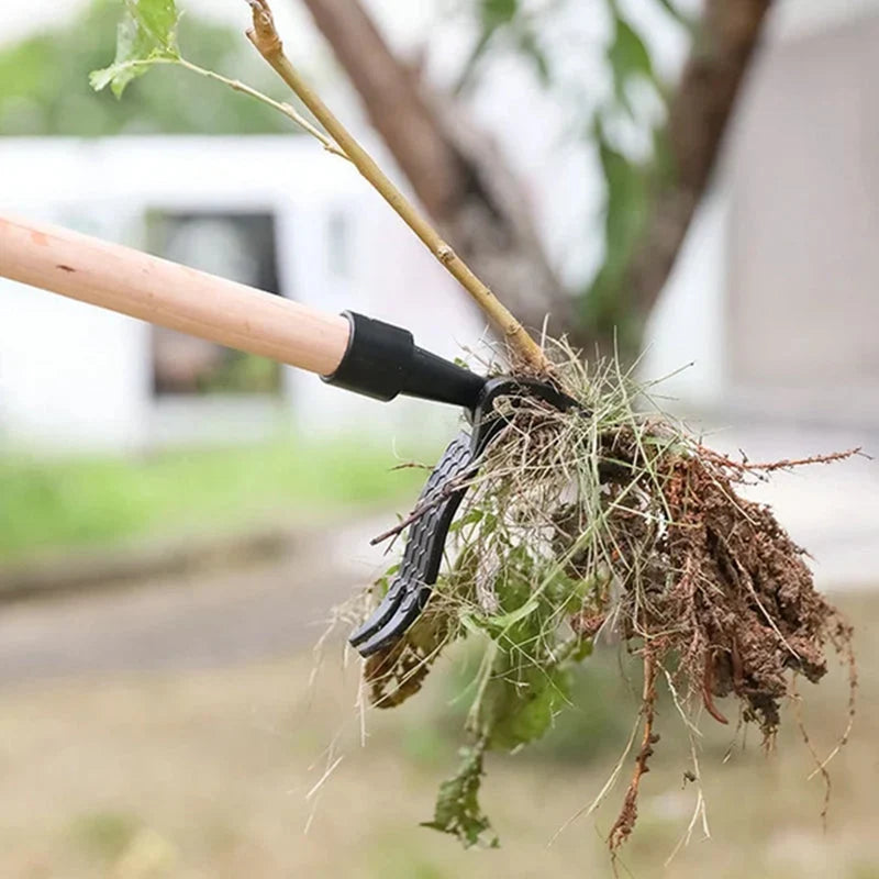 Weed Remover | Stainless Steel & Back-Friendly | Detachable Handle