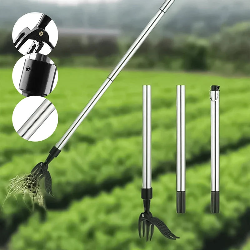 Weed Remover | Stainless Steel & Back-Friendly | Detachable Handle