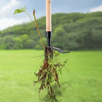 Weed Remover | Stainless Steel & Back-Friendly | Detachable Handle