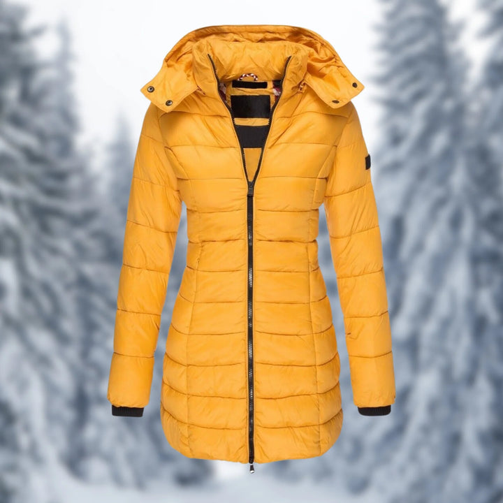 Winter Jacket | Insulated & Waterproof | Adjustable Hood