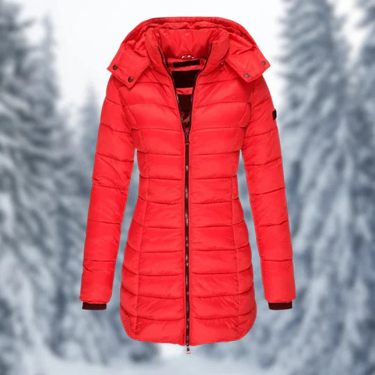 Winter Jacket | Insulated & Waterproof | Adjustable Hood