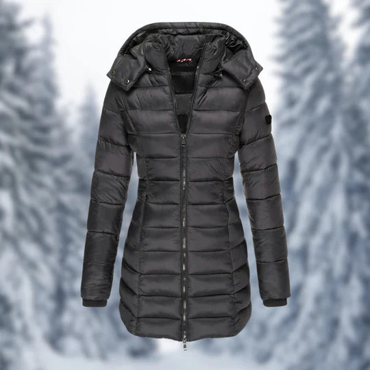 Winter Jacket | Insulated & Waterproof | Adjustable Hood