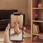 Wireless Security Camera | 1080P Video & Motion Detection | Infrared Night Vision